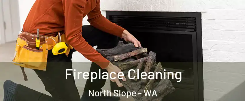 Fireplace Cleaning North Slope - WA