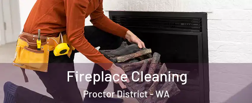 Fireplace Cleaning Proctor District - WA