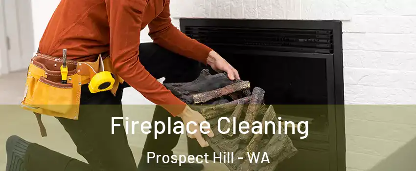 Fireplace Cleaning Prospect Hill - WA