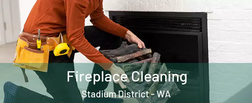 Fireplace Cleaning Stadium District - WA