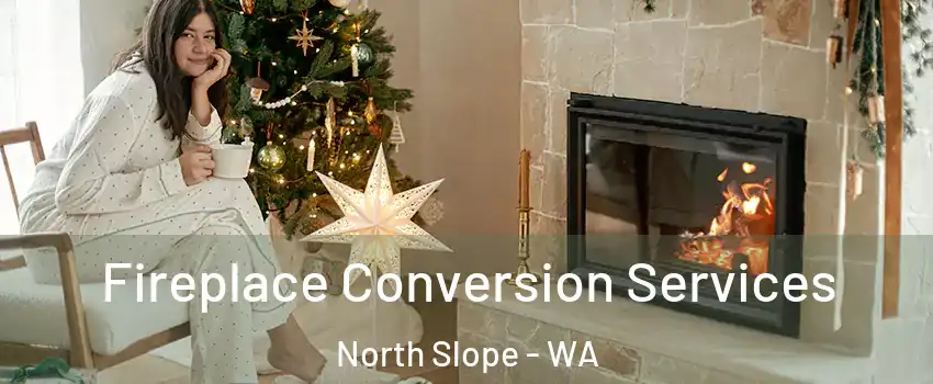 Fireplace Conversion Services North Slope - WA