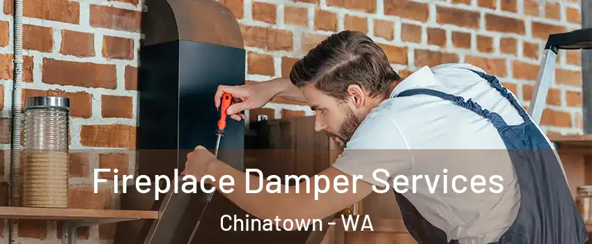 Fireplace Damper Services Chinatown - WA