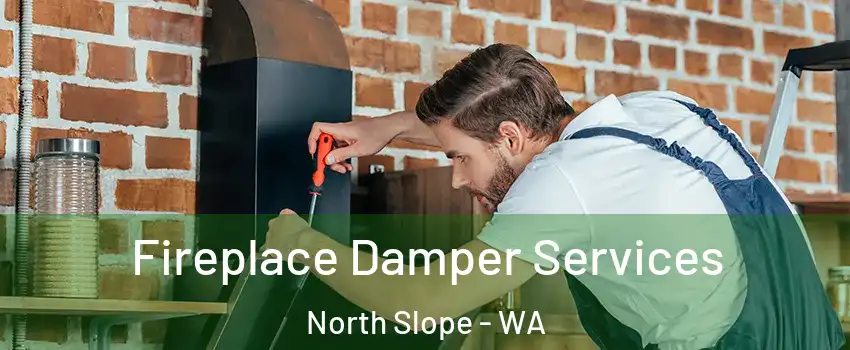 Fireplace Damper Services North Slope - WA