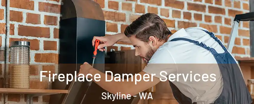 Fireplace Damper Services Skyline - WA