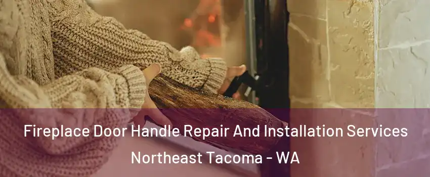 Fireplace Door Handle Repair And Installation Services Northeast Tacoma - WA