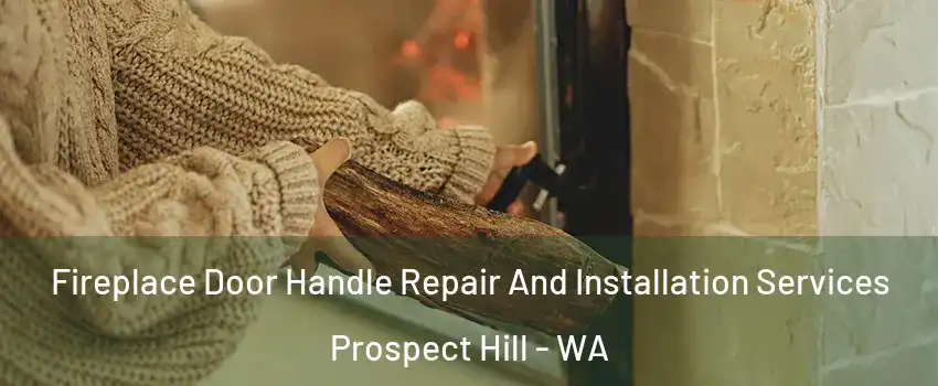 Fireplace Door Handle Repair And Installation Services Prospect Hill - WA