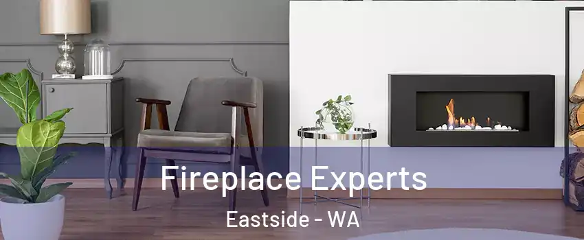 Fireplace Experts Eastside - WA