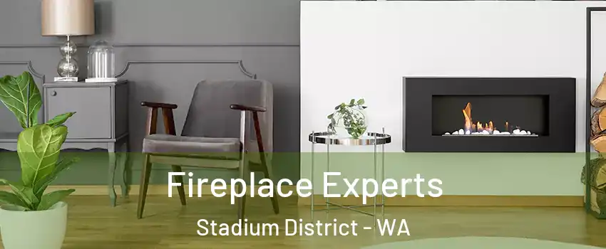 Fireplace Experts Stadium District - WA