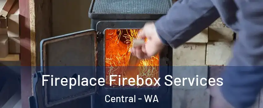 Fireplace Firebox Services Central - WA