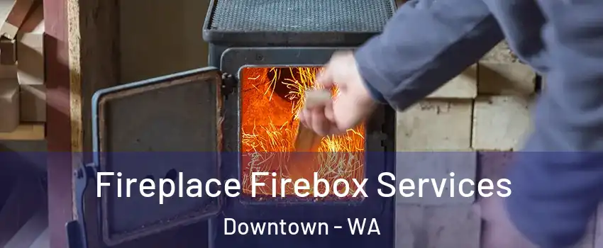 Fireplace Firebox Services Downtown - WA