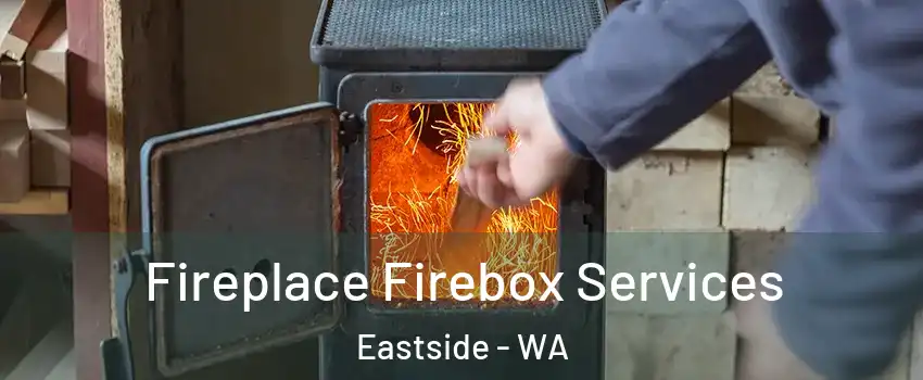 Fireplace Firebox Services Eastside - WA