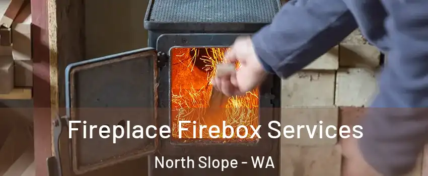 Fireplace Firebox Services North Slope - WA