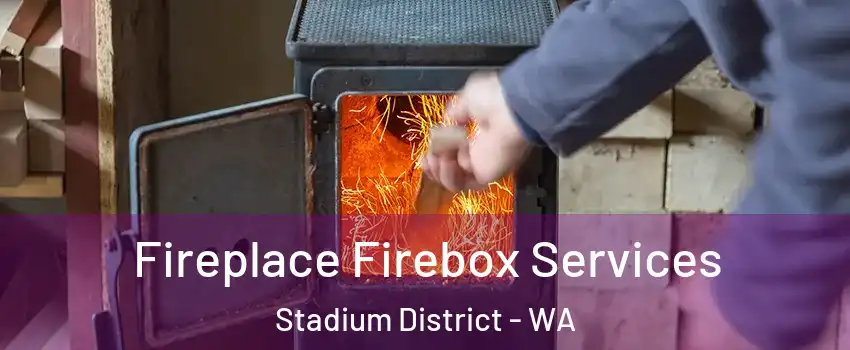 Fireplace Firebox Services Stadium District - WA