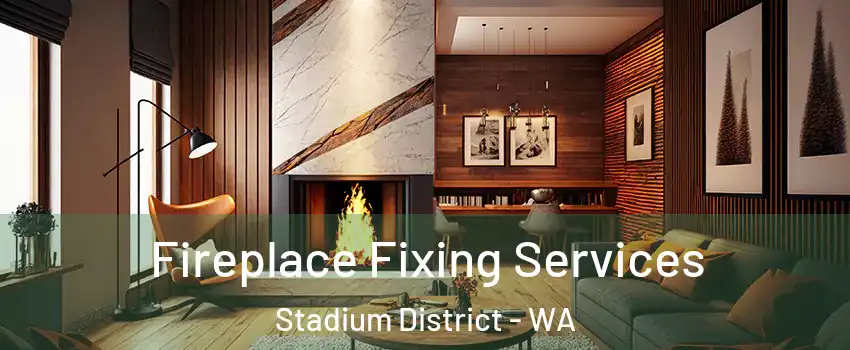 Fireplace Fixing Services Stadium District - WA