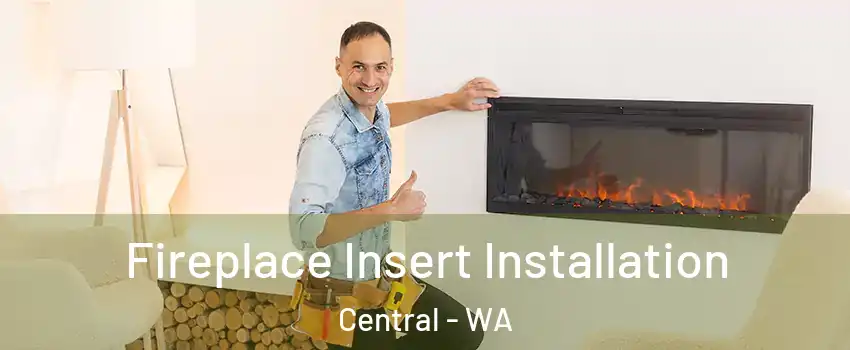 Fireplace Insert Installation Central - WA