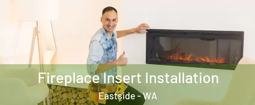 Fireplace Insert Installation Eastside - WA