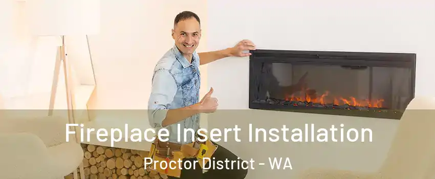 Fireplace Insert Installation Proctor District - WA