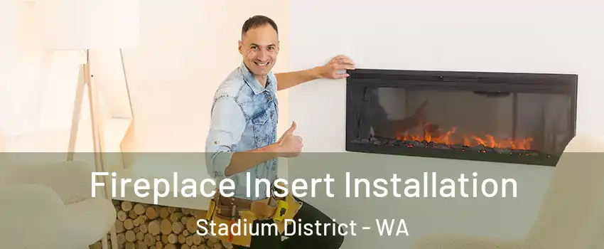 Fireplace Insert Installation Stadium District - WA