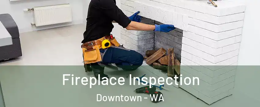 Fireplace Inspection Downtown - WA