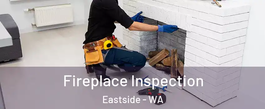 Fireplace Inspection Eastside - WA