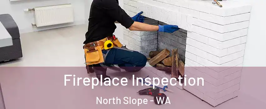 Fireplace Inspection North Slope - WA