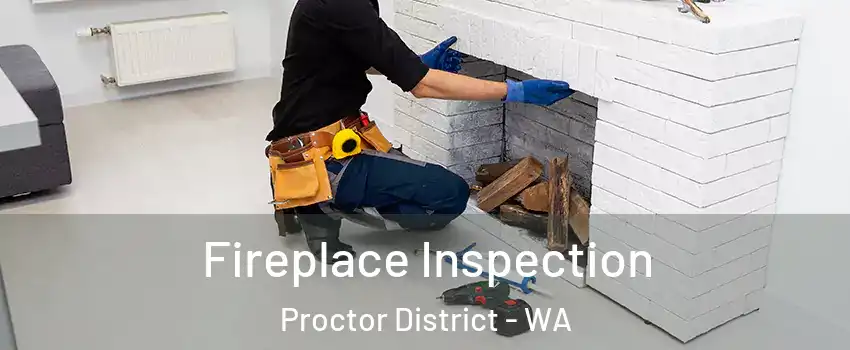 Fireplace Inspection Proctor District - WA