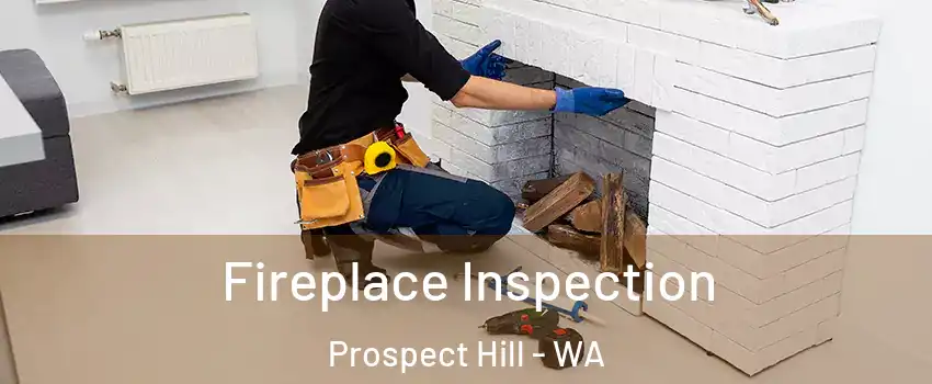 Fireplace Inspection Prospect Hill - WA