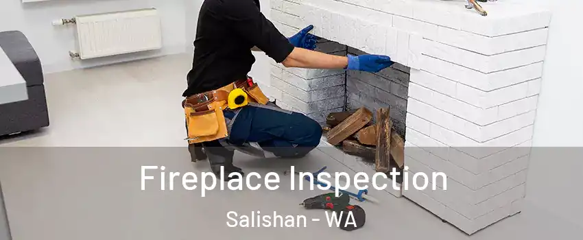 Fireplace Inspection Salishan - WA