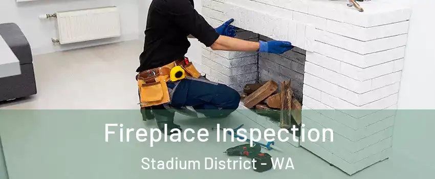 Fireplace Inspection Stadium District - WA