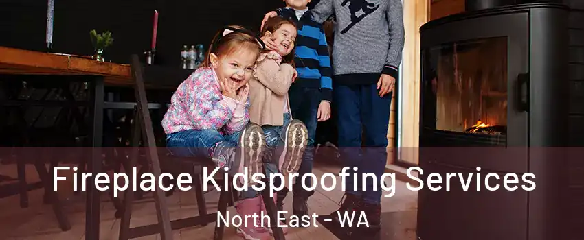 Fireplace Kidsproofing Services North East - WA