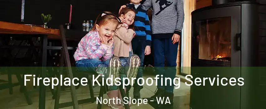 Fireplace Kidsproofing Services North Slope - WA