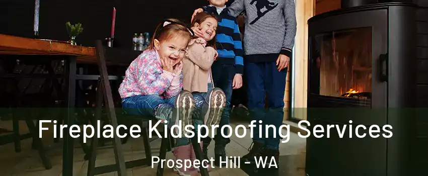 Fireplace Kidsproofing Services Prospect Hill - WA