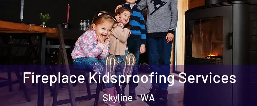 Fireplace Kidsproofing Services Skyline - WA