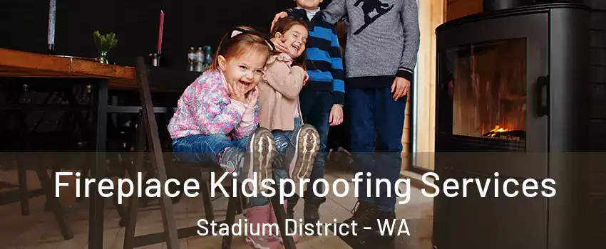 Fireplace Kidsproofing Services Stadium District - WA