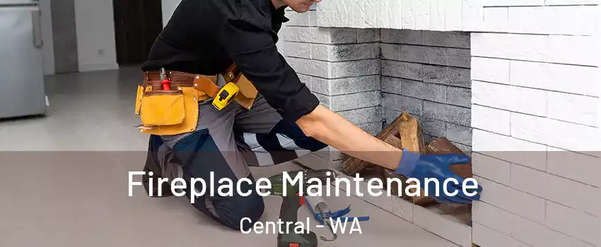 Fireplace Maintenance Central - WA