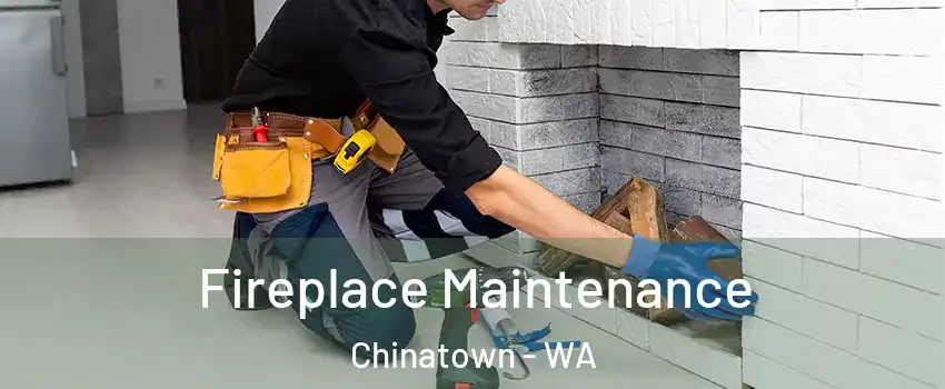 Fireplace Maintenance Chinatown - WA