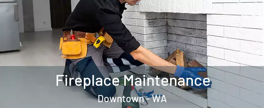 Fireplace Maintenance Downtown - WA