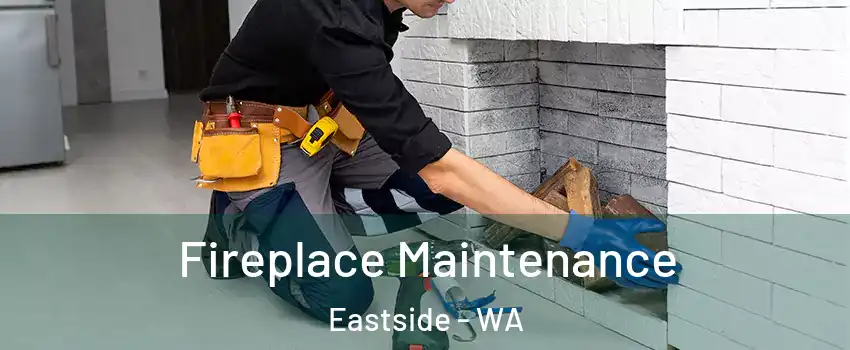 Fireplace Maintenance Eastside - WA