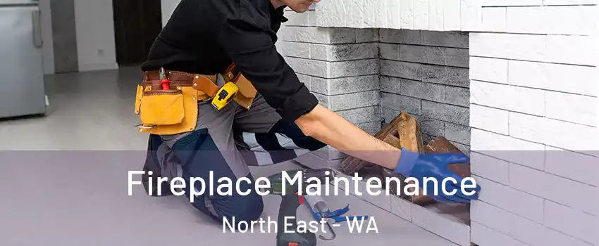 Fireplace Maintenance North East - WA