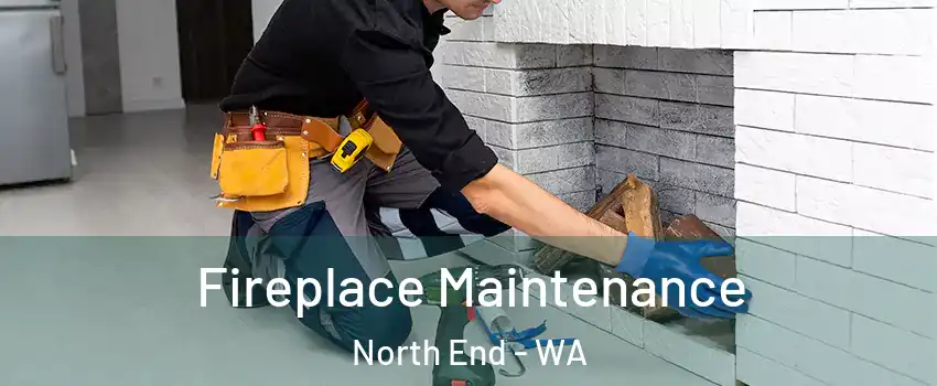 Fireplace Maintenance North End - WA