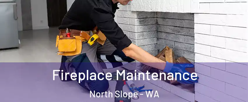 Fireplace Maintenance North Slope - WA