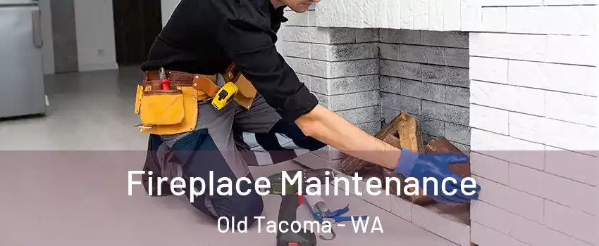 Fireplace Maintenance Old Tacoma - WA