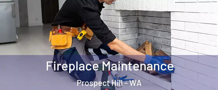 Fireplace Maintenance Prospect Hill - WA