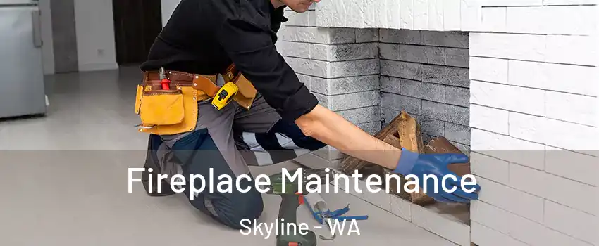 Fireplace Maintenance Skyline - WA