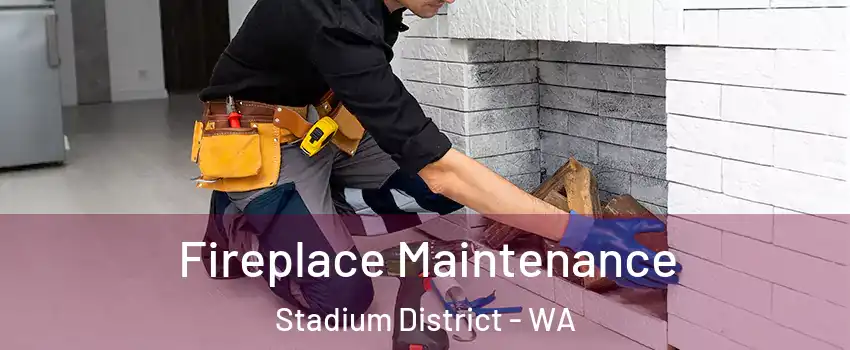 Fireplace Maintenance Stadium District - WA