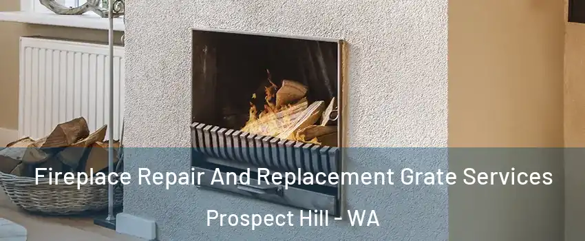 Fireplace Repair And Replacement Grate Services Prospect Hill - WA