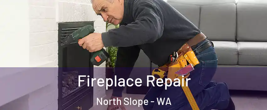 Fireplace Repair North Slope - WA