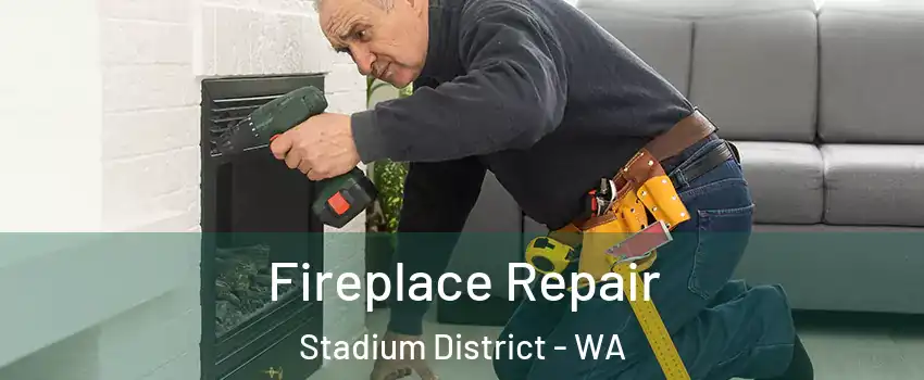 Fireplace Repair Stadium District - WA