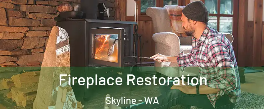 Fireplace Restoration Skyline - WA