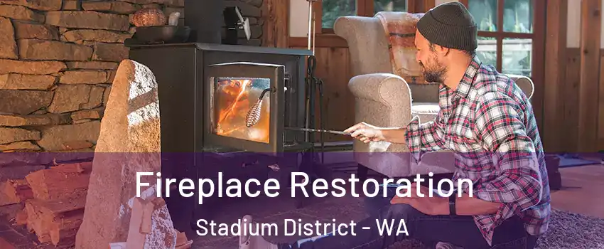 Fireplace Restoration Stadium District - WA